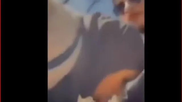 سكس طلاب عراقيين يمصمصون بعض في حديقة المدرسة